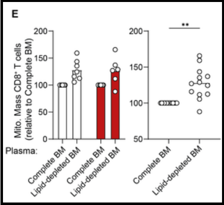 The role of fatty acids in Multiple Myeloma Microenvironments is investigated through the use of Cleanascite™ 